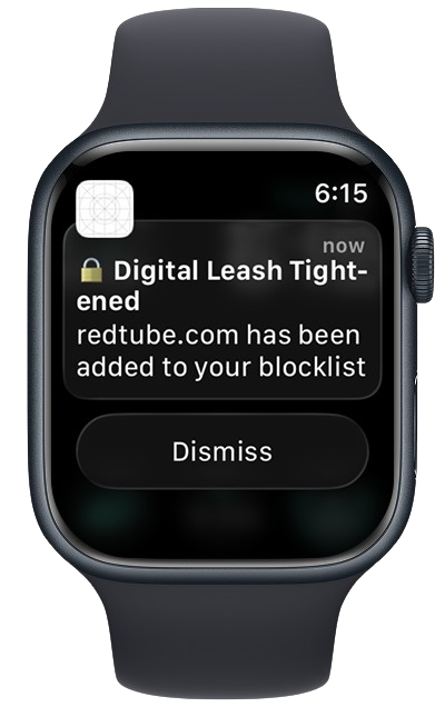 Digital Leash blocking notification